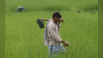 खेत-खलिहानों से विकास की राह