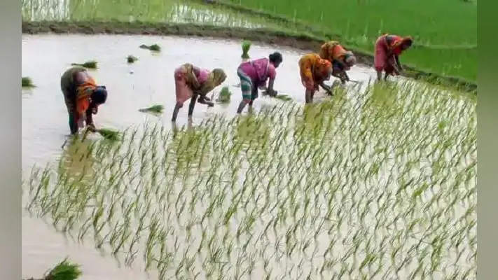 पीएम किसान मानधन योजना का लाभ किन्हें मिलेगा?, यहां जानें रजिस्ट्रेशन की पूरी प्रक्रिया