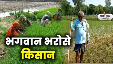 Weather Update: यूपी में नहीं बरसा पानी, धान की रोपाई प्रभावित, किसान निराश