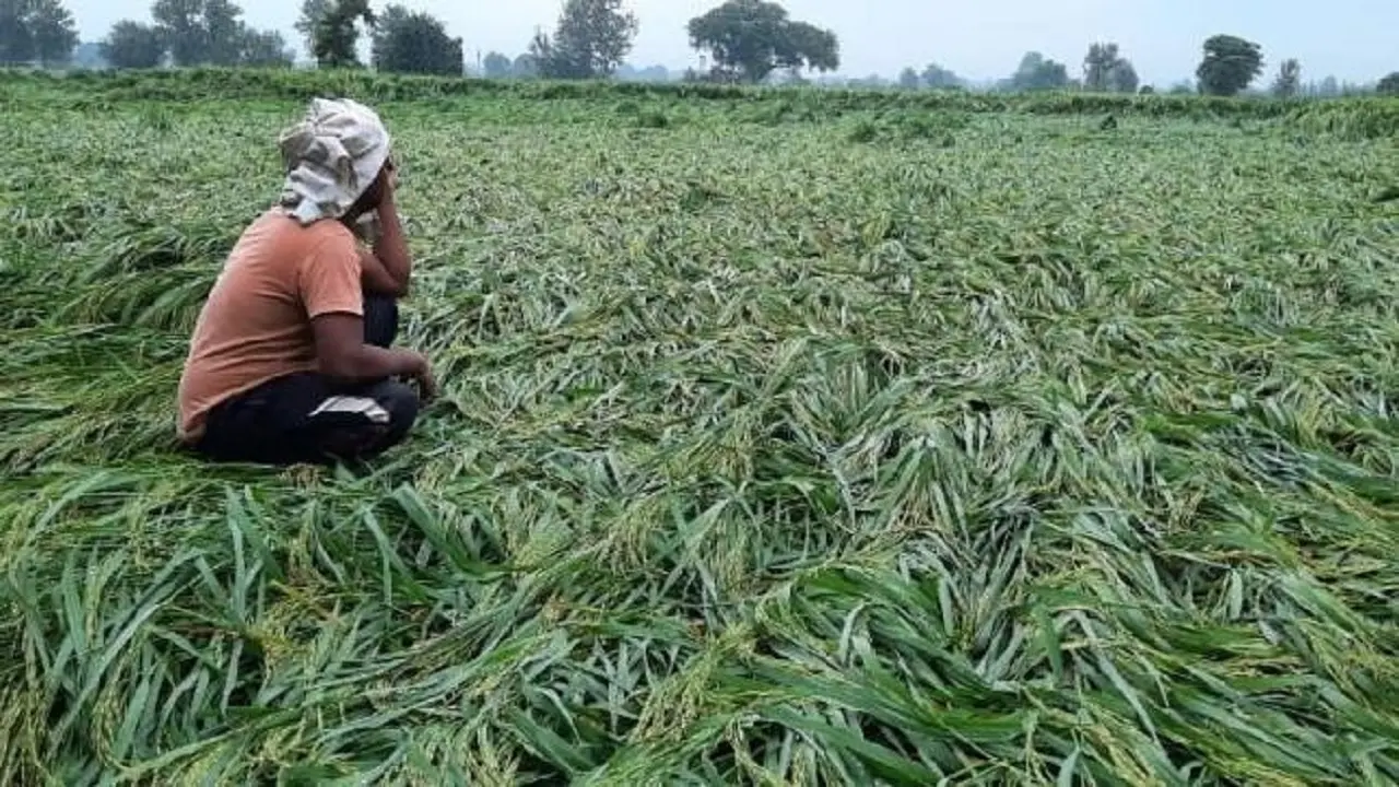 Kisan Andolan News: नरेश टिकैट ने अजीब फरमान, कहा-शादी और जश्न में BJP नेताओं को मत बुलाना, वरना…
