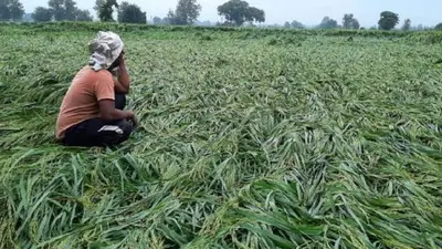 Kisan Andolan News: नरेश टिकैट ने अजीब फरमान, कहा-शादी और जश्न में BJP नेताओं को मत बुलाना, वरना…