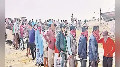 हाथियों के झुंड ने किसान को कुचलकर मार डाला, मशाल जलाकर ग्रामीणों ने भगाया