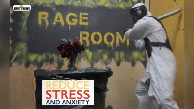 Stress करना चाहते हैं दूर तो यहां पर चीजों को तोड़कर अपनी निराशा करें दूर