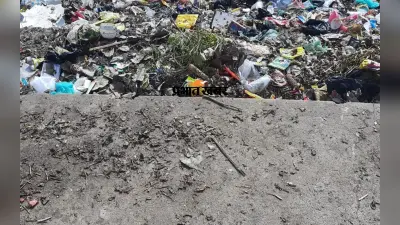 Save River: मेदिनीनगर में कोयल के तट पर डंप होता है कचरा, नदी में गिरती है 20 नाले की गंदगी