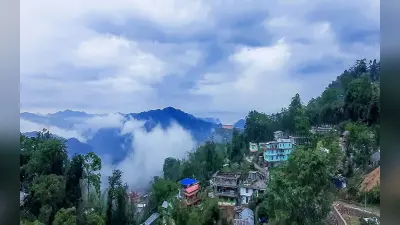 कीड़े, मक्खी, मेंढक के मीट से जहां सजती है खाने की प्लेट, पैसे की भूख परेशान नहीं करती, जानें अनोखी संस्कृति को