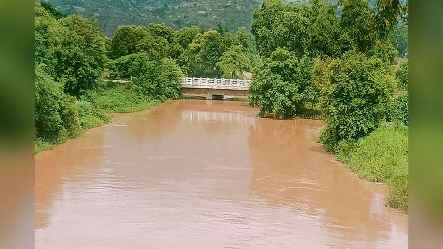 पलामू में कोयल नहर का जलस्तर बढ़ने से खेतों तक पहुंचा पानी, किसान खुश