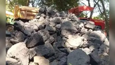 बीरभूम जिले में थमने का नाम नहीं ले रहा अवैध कोयला तस्करी,छह माह में पांच सौ टन अवैध कोयला जब्त