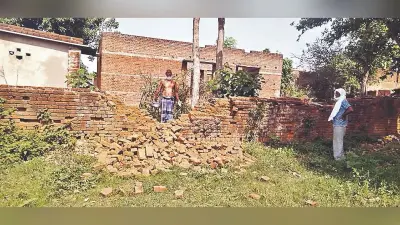 हाथियों ने कटकमसांडी में मचाया उत्पात, फसल व घरों को पहुंचाया नुकसान