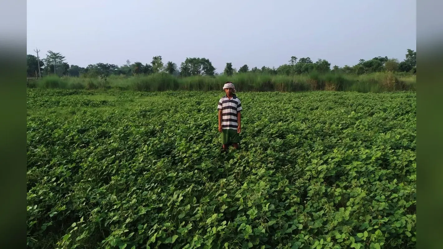 सब्जी की खेती के साथ बतख व मत्स्य पालन के जरिये स्वावलंबी बन रहे मांगुडीह गांव के किसान
