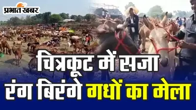 Diwali Festival 2023: जानिए क्यों खास है चित्रकूट में लगने वाला गधों का ऐतिहासिक मेला