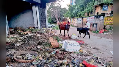 धनबाद में कैसे सेहतमंद रहेंगे लोग? निगम क्षेत्र में कचरे पर किचकिच बरकरार, आज से फिर ठप होगा सफाई का काम