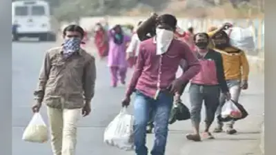 मनरेगा से 31619 परिवार में 37041 मजदूर हर दिन काम कर रहे हैं, मिल रहा रोजगार, गुमला प्रशासन गांव में ही दे रहा रोजगार