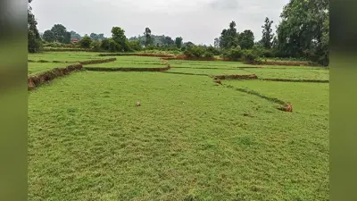 लातेहार के बारियातू अंचल के नये सर्वे में नचना व गाड़ी मौजा के करीब तीन हजार एकड़ भूमि ऑनलाइन नहीं