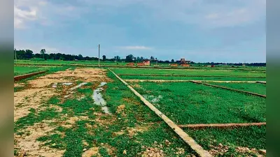 बिहार के 24000 परिवारों को जमीन उपलब्ध कराएगी सरकार, भूमिहीनों को बसाने के लिए हो रहा सर्वे