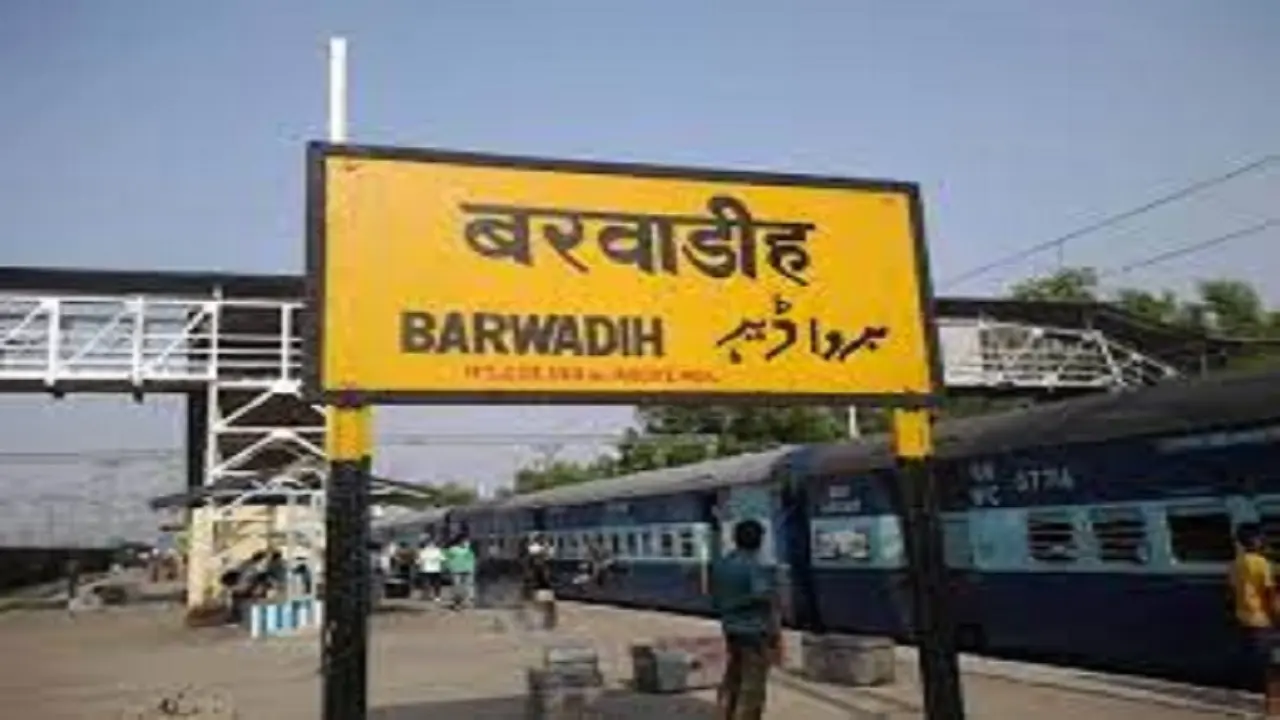 Jharkhand News: पलामू सांसद बीडी राम ने लोकसभा में लातेहार की बरवाडीह-चिरीमिरी रेल परियोजना को लेकर की ये मांग