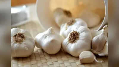 Garlic Benefits: सर्दियों में जानलेवा बीमारियों से बचाएगा लहसुन, जानें गुणकारी लाभ