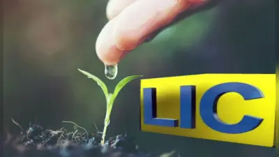 LIC Policy: आपके बीमा पॉलिसी पर मिल सकता है पर्सनल लोन से सस्ता और आसान ऋण, जानें कैसे और कहां करें आवेदन