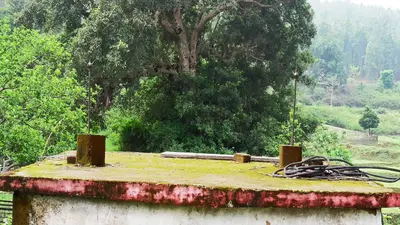 Jharkhand News: 385 में 12 स्कूलों में ही बचे हैं तड़ित चालक, वज्रपात से कैसे बचेंगे कोडरमा के बच्चे