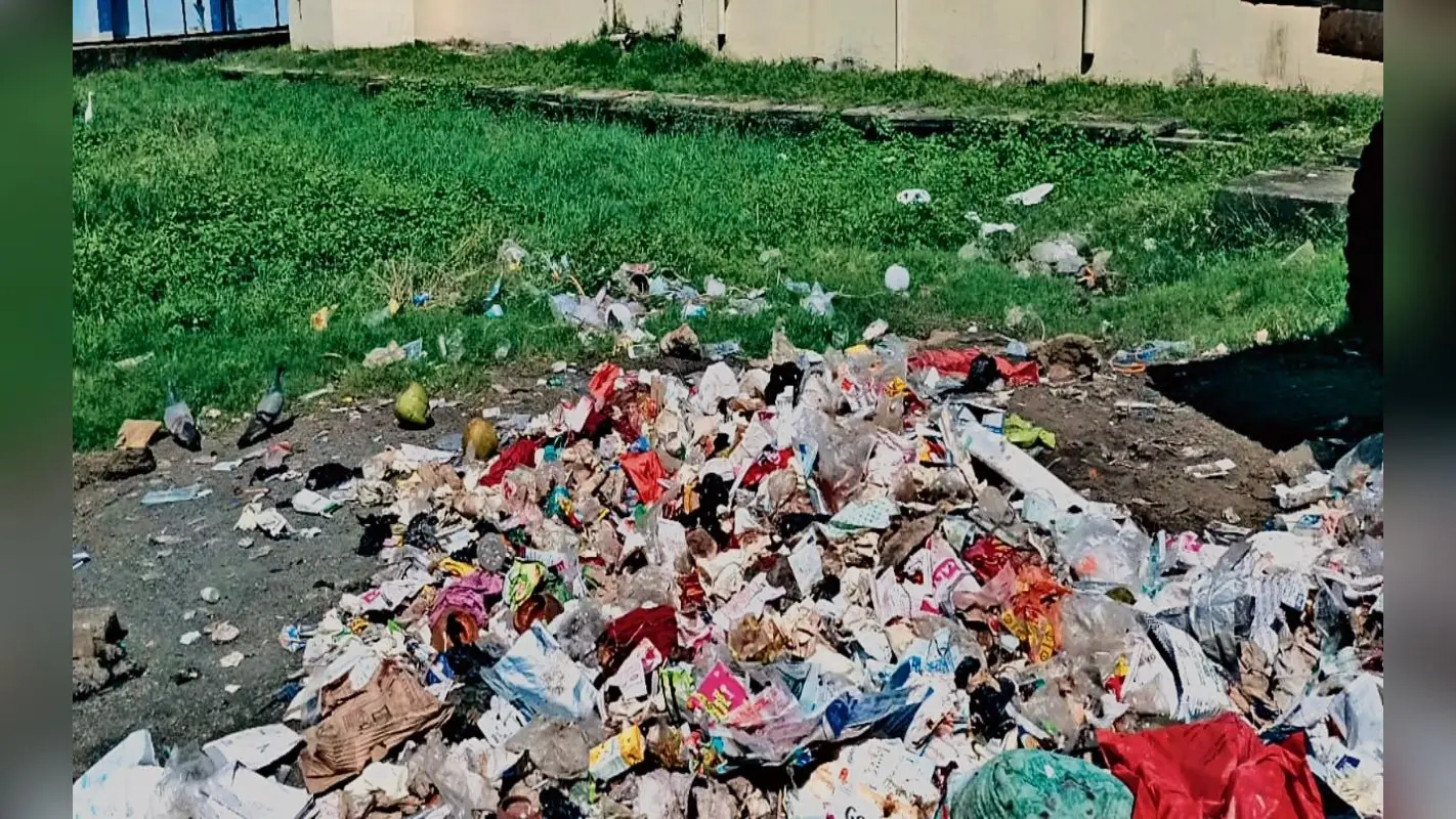 धनबाद में तेजी से फैल रहा डेंगू, खुले में बायो मेडिकल वेस्ट फेंक रही सफाई एजेंसी