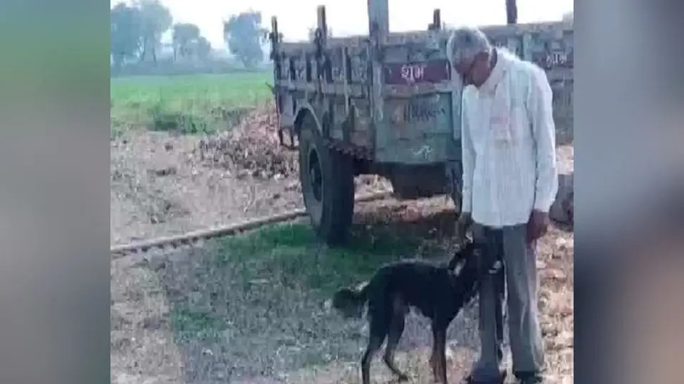 बेटे के रवैये से नाराज किसान ने उठाया बड़ा कदम, पालतू कुत्ते के नाम कर दी अपनी संपत्ति