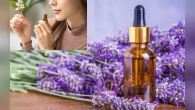 Fragrances To Feel Calm: चुटकियों में गायब हो जाएगा स्ट्रेस, ये खुशबू करेंगे आपकी मदद, जानें कैसे?