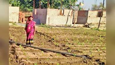 लोहरदगा की महेश्वरी देवी बकरी पालन और खेती से कर रही अच्छी आमदनी, महिलाओं के लिए बनी प्रेरणा स्रोत