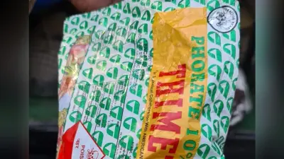 UP: मैनपुरी में चाय में पत्ती के साथ डाल दी कीटनाशक दवा, चार लोगों की तड़प-तड़प कर मौत