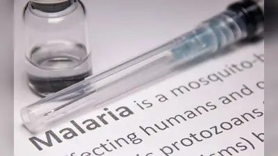 Malaria Vaccine: मलेरिया को मात देगी ये वैक्सीन, जानें दवा का नाम और कीमत