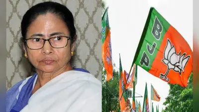 TMC ने चुनाव आयोग से BJP की शिकायत, मोदी की तस्वीर वाले माचिस के डिब्बे बांटने का आरोप