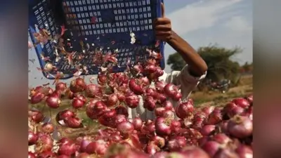 लॉकडाउन में तरबूज और प्याज बेचते हुए मुंबई से पहुंच गया प्रयागराज