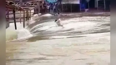 …और देखते ही देखते नदी में बह गया संतोष मांझी, रजरप्पा मंदिर के पास उफान पर भैरवी नदी