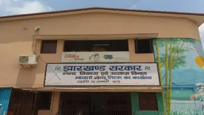 Jharkhand Municipal Election 2022: पूर्वी सिंहभूम के 3 नगर निकायों का आया राेस्टर, जानें सीटों की स्थिति