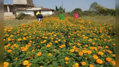 20 साल का हुआ झारखंड: खुल रहे अवसरों के द्वार, युवाओं के सपने हो रहे साकार