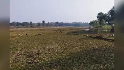Jharkhand Village Story: एक ऐसा गांव, जहां नहीं रहता कोई आदमी, मौत के डर से 199 एकड़ में एक झोपड़ी तक नहीं