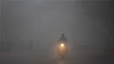 Weather Update: टूटा 62 साल का रिकार्ड, इस साल सबसे गर्म रहा जनवरी का महीना