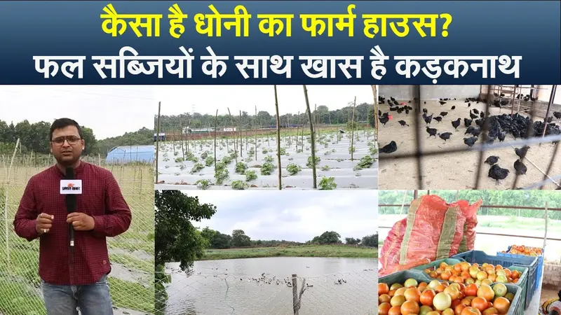 अवैध शराब से मौत पर पीड़ित परिवार को दोषी देंगे 10 लाख तक का मुआवजा, होगी 10 साल की सजा