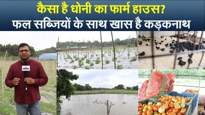 कैसा है धोनी का फार्म हाउस ? फल सब्जियों के साथ खास है कड़कनाथ