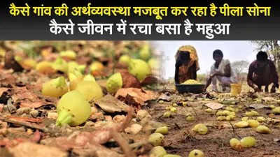 बिहार में कोरोना से मौतों की संख्या से छेड़छाड़ पर विपक्ष हमलावर, स्वास्थ्य विभाग ने दिए जांच के आदेश