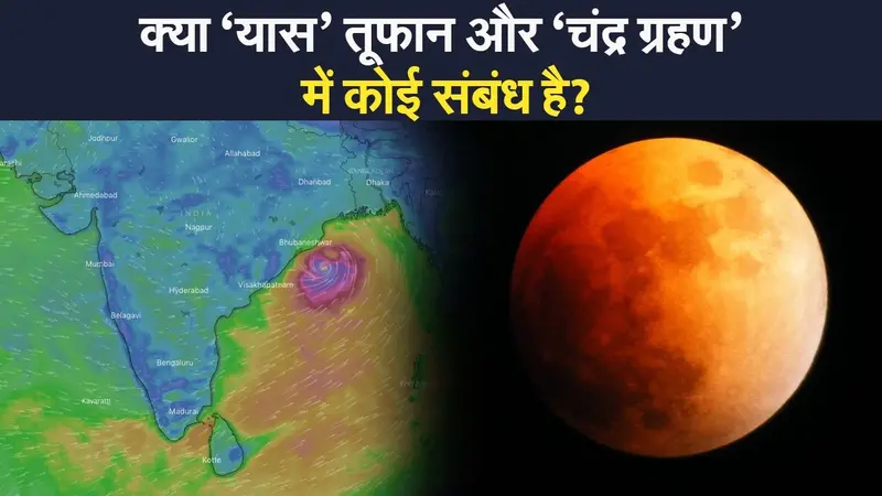 इस वीडियो में जीतने का जज्बा, जब गड्ढे में गिरे हाथी के बच्चे ने दिखाया हौसला, आप भी करेंगे सलाम