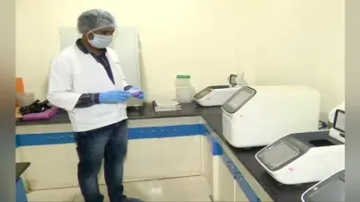 केवल 500 रुपये में हो सकती है कोरोना की टेस्ट, जीसीसी बायोटेक इंडिया ने विकसित की स्वदेशी किट