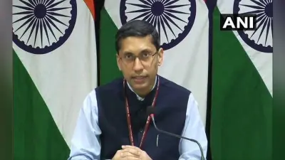 मेहुल चोकसी को जल्द से जल्द भारत लाने की कोशिशें जारी, कुलभूषण जाधव की रिहाई मामले पर विदेश मंत्रालय का पाक को संदेश