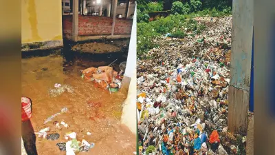 यूपी ने 5 साल में लहराया सेहत में सुधार का परचम, राष्ट्रीय परिवार स्वास्थ्य सर्वेक्षण में हुआ खुलासा