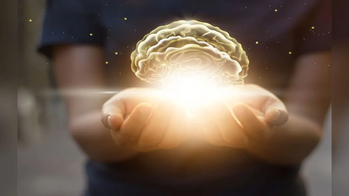 Tips To Increase Memory: क्यों बढ़ रही भूलने की बीमारी, क्या है मुख्य वजह, कैसे करें कंट्रोल