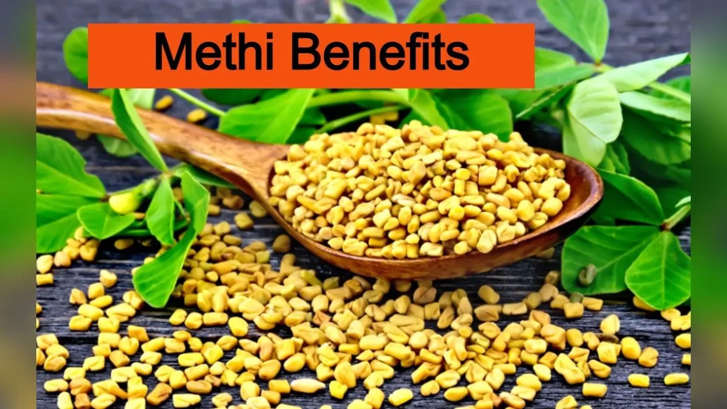 Health: अपनी विंटर डाइट में आज ही शामिल कर लें मेथी, फायदे जान हो जाएंगे हैरान