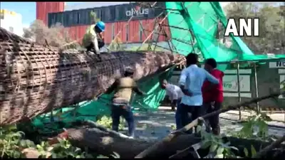 Metro Pillar Collapsed: बेंगलुरु में मेट्रो का अंडर कंस्ट्रक्शन पिलर गिरा, बाइक सवार मां-बेटे की मौत