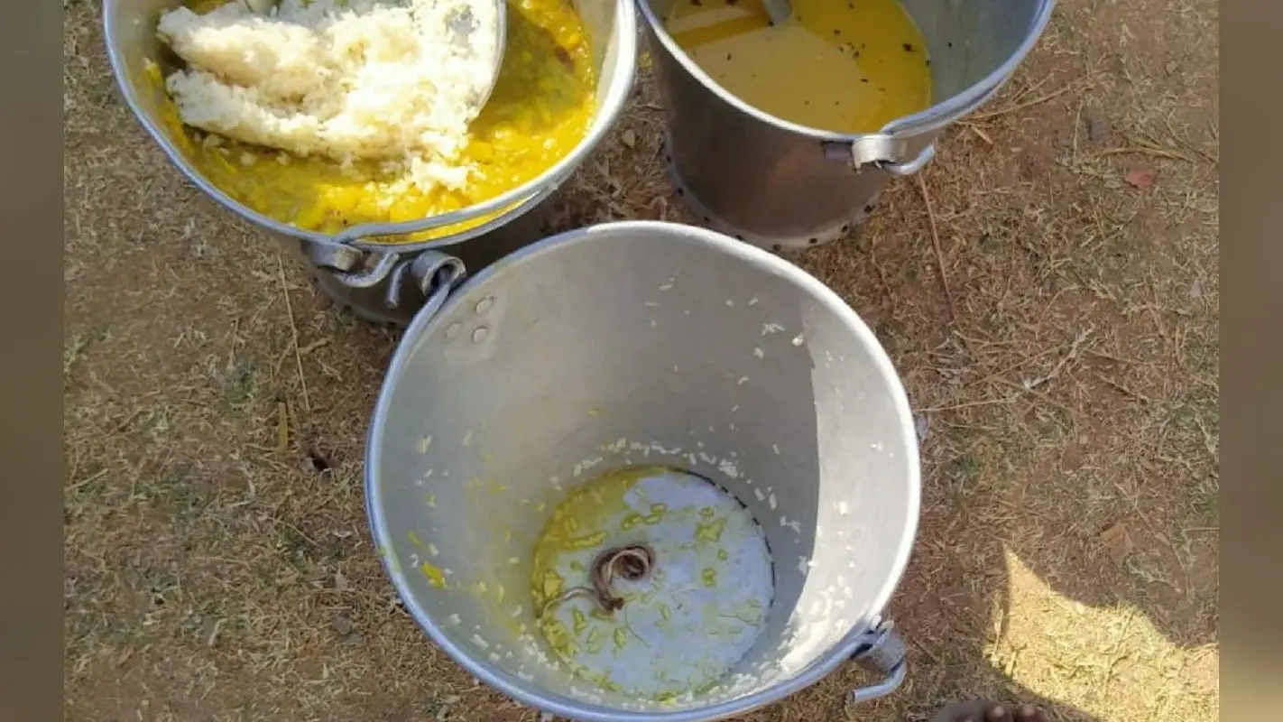 Mid Day Meal: मिड-डे मील में मिला मृत सांप, विषाक्त भोजन से बीस से अधिक विद्यार्थी बीमार, अभिभावकों का हंगामा
