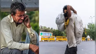 कोरोना संकट में बेरोजगार हुए प्रवासी मजदूरों को व्हाट्सऐप के जरिए मिलेगी नौकरी, TIFC ने लॉन्च किया जॉब पोर्टल