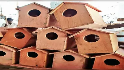 गुमला के जंगलों और डैमों में पहुंचे हजारों प्रवासी पक्षी, संरक्षण के लिए वन विभाग ने बनाया ये प्लान
