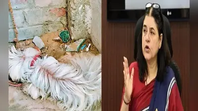 बिहार: पालतू कुत्ते की हालत नाजुक, मालिक ने इलाज से किया इनकार, दिल्ली से मेनका गांधी की पहल पर दर्ज हुआ FIR