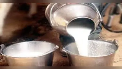 World Milk Day : अब 400 ग्राम दूध रोज पी रहे बिहारवासी, राष्ट्रीय औसत के करीब पहुंचा बिहार
